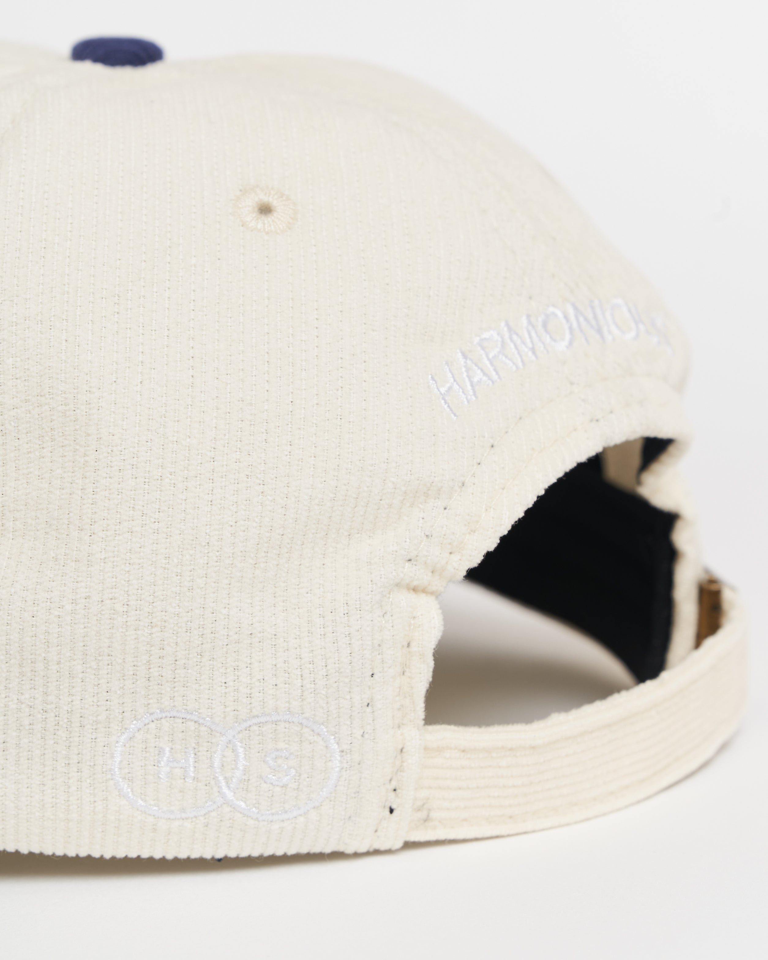 Harmonious chord dad cap