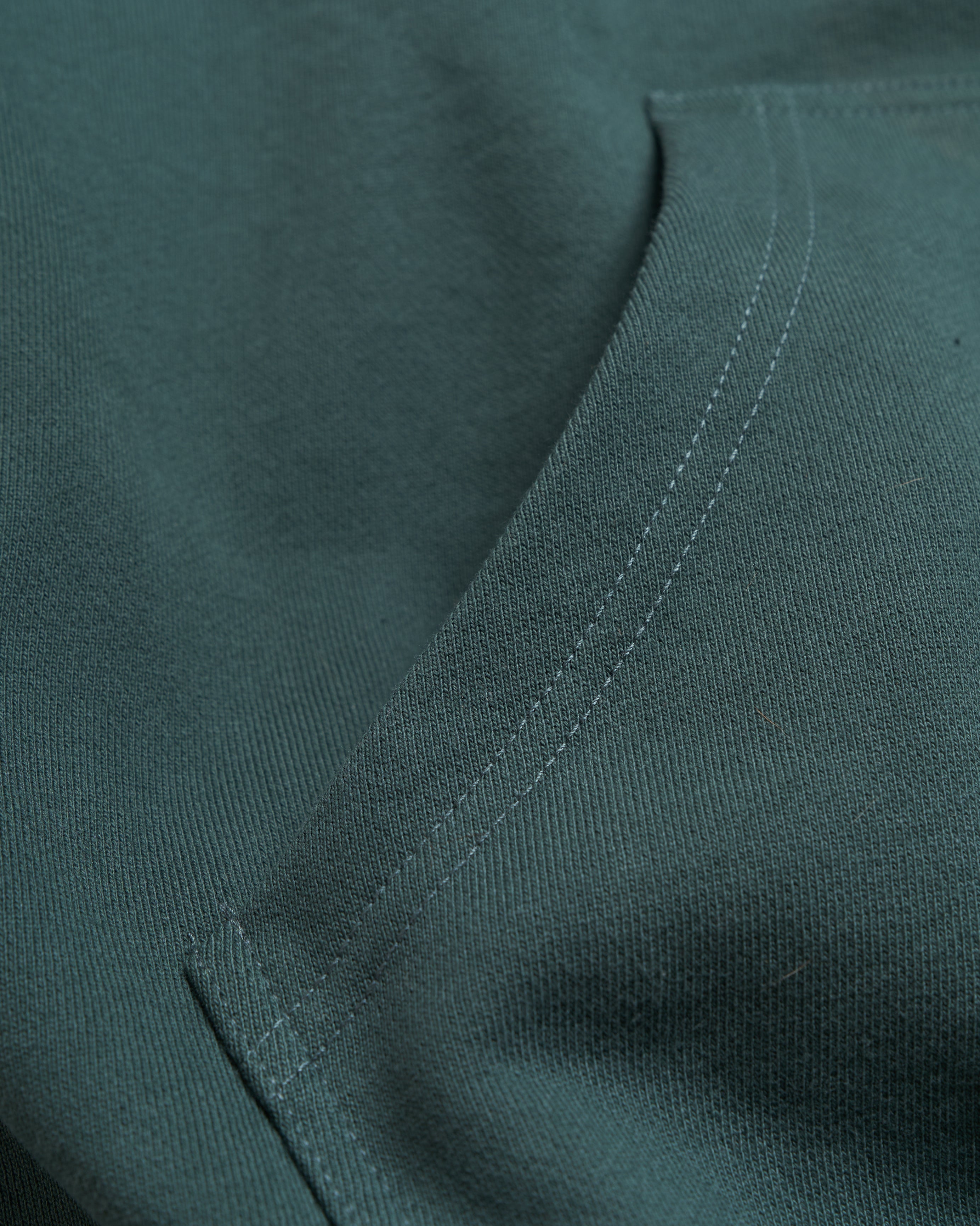Harmonious Cactus sports hoody 