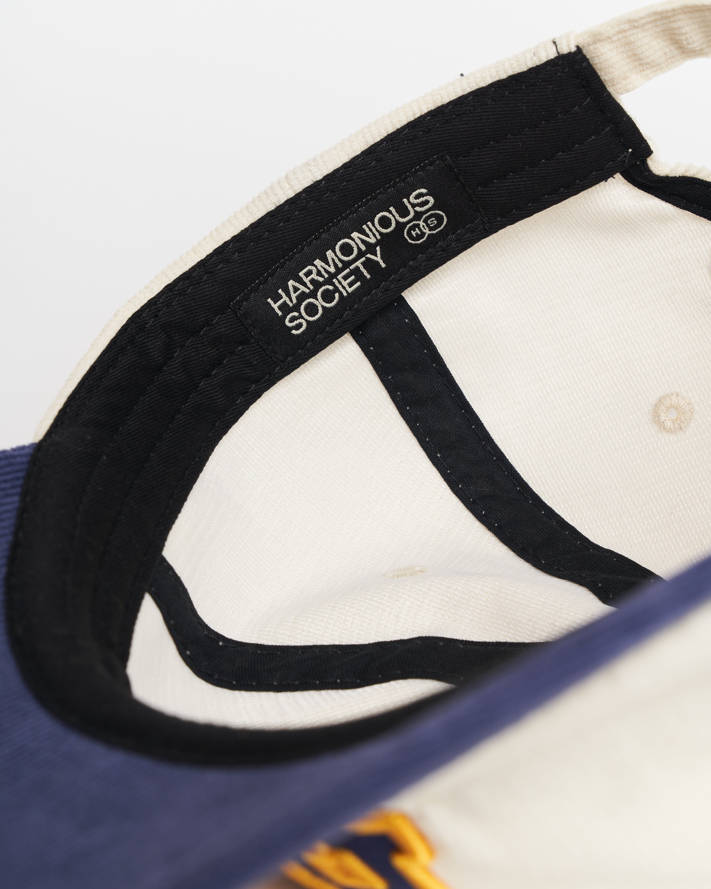 Harmonious chord dad cap