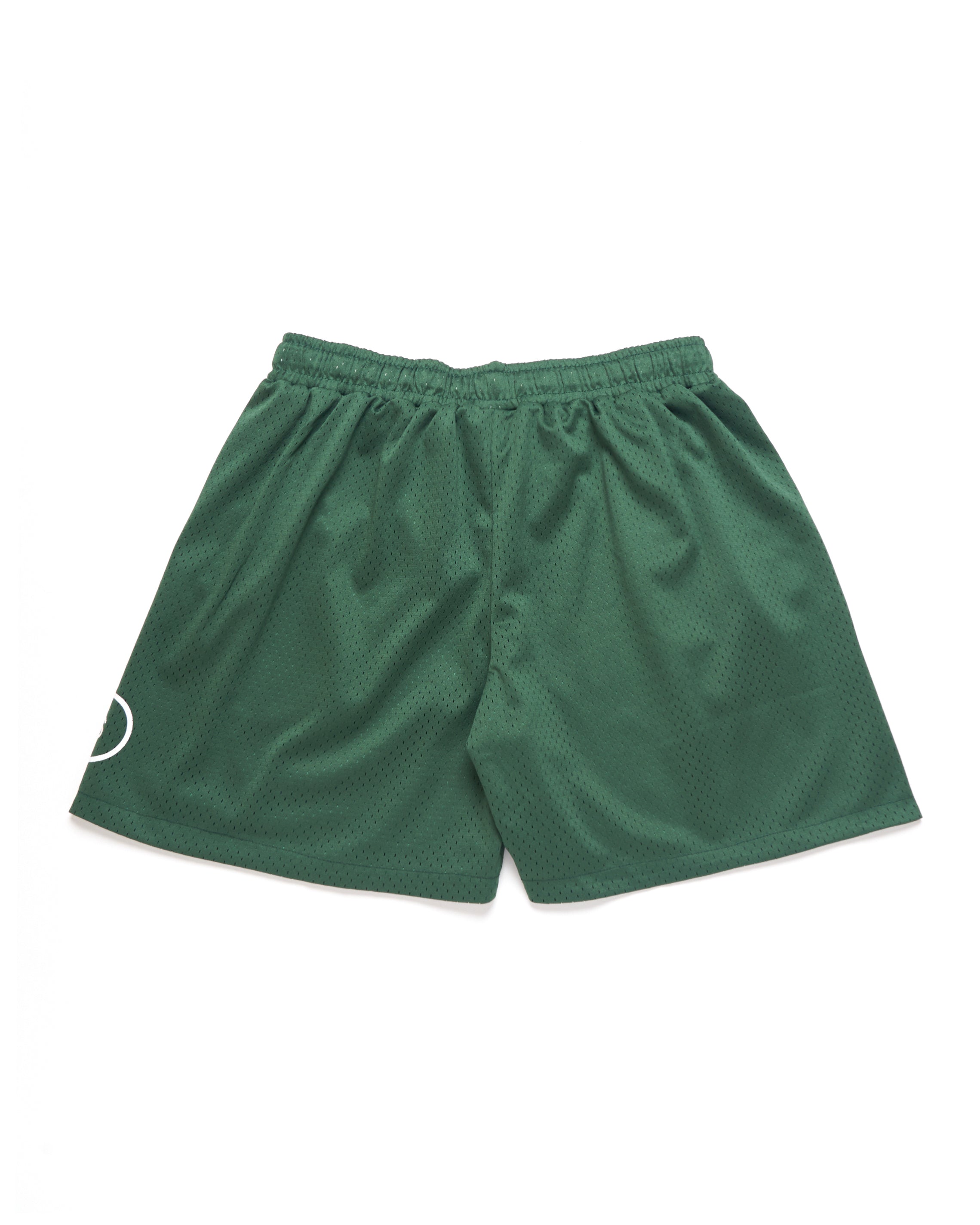 Harmonious Retro Mesh Shorts - Green