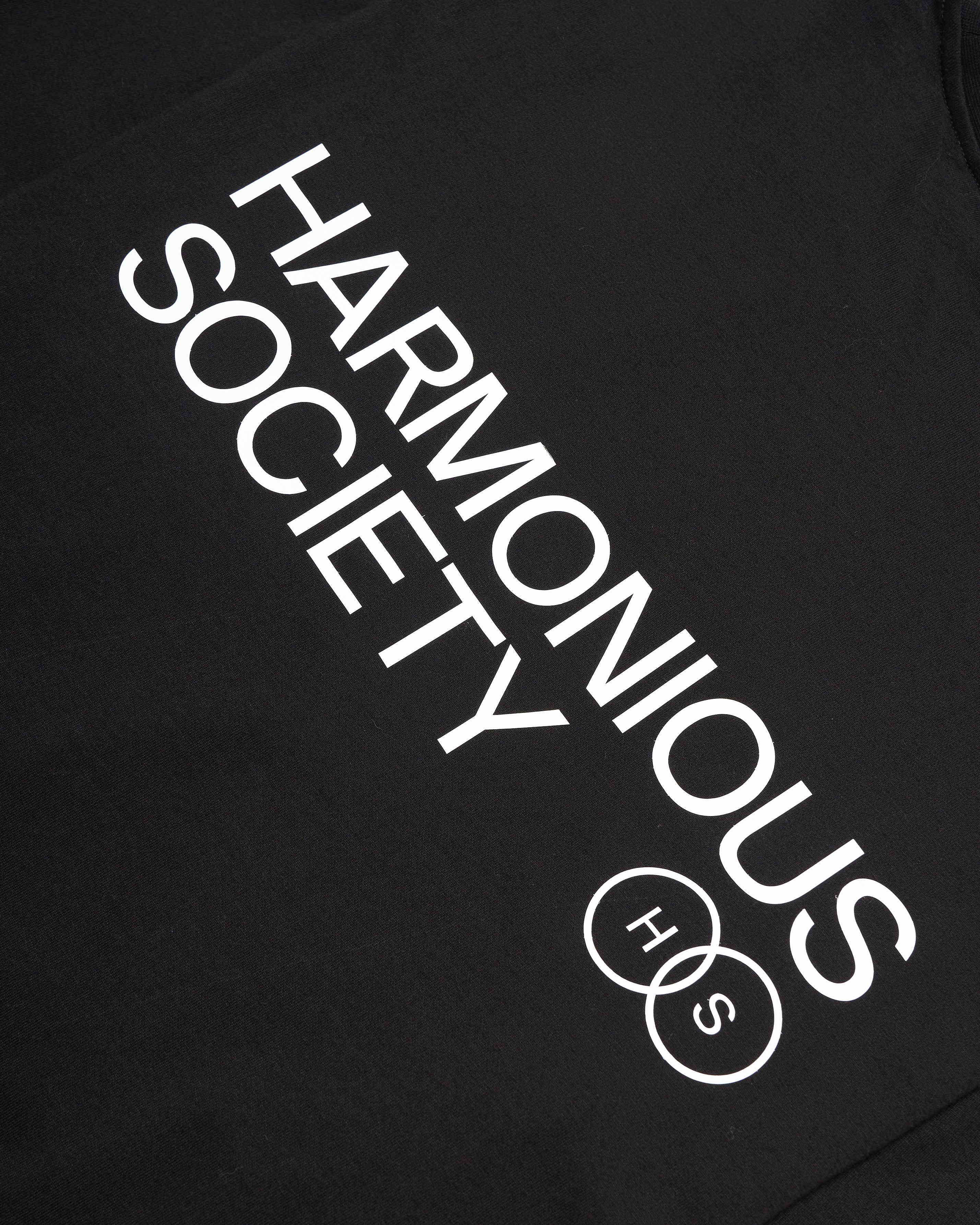 Harmonious long sleeve black T-shirt 