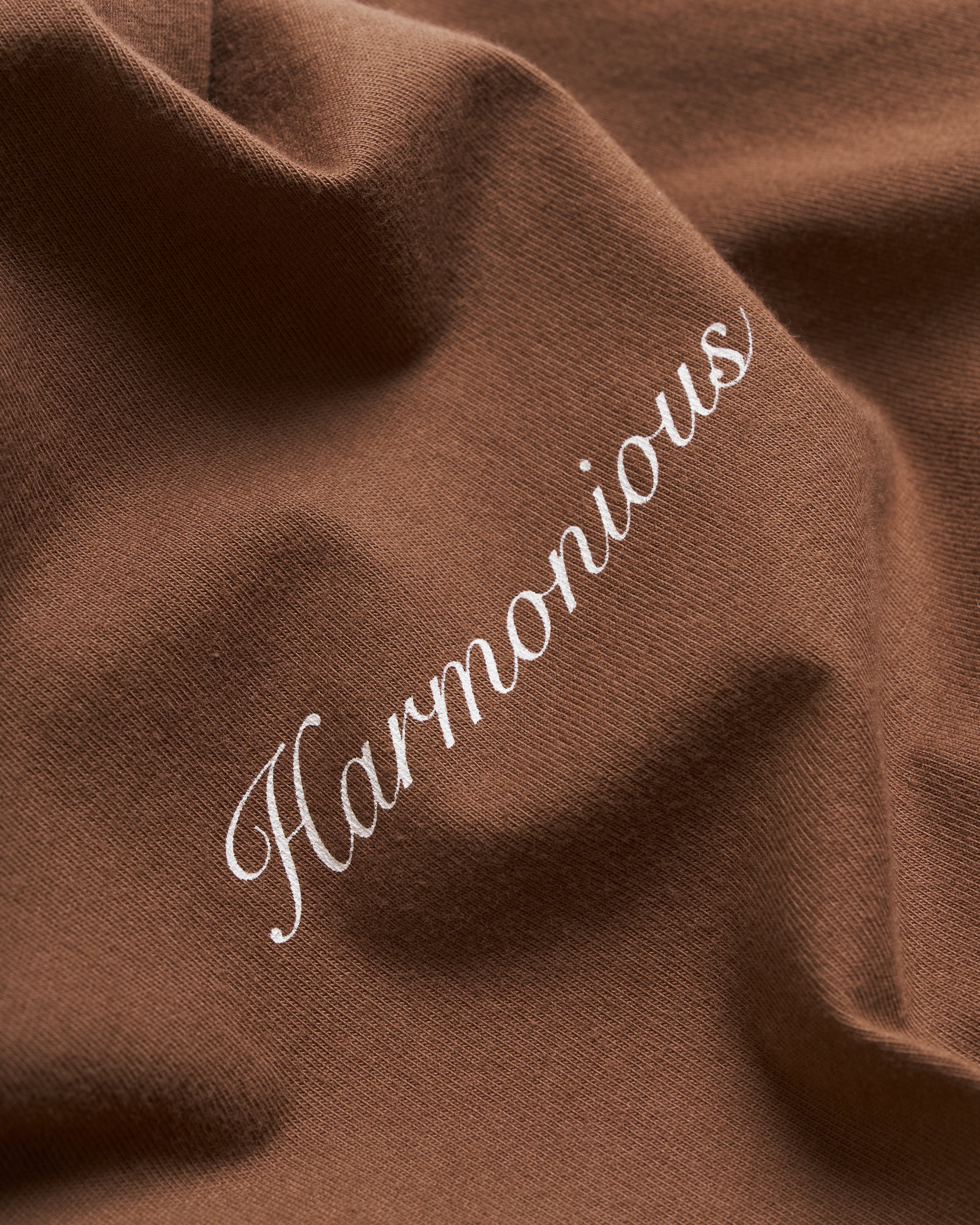 Harmonious Script Tee - Brown